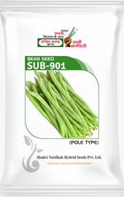 SUB-901 , Best Beans (Pole) Seeds,  Thumbnail Image