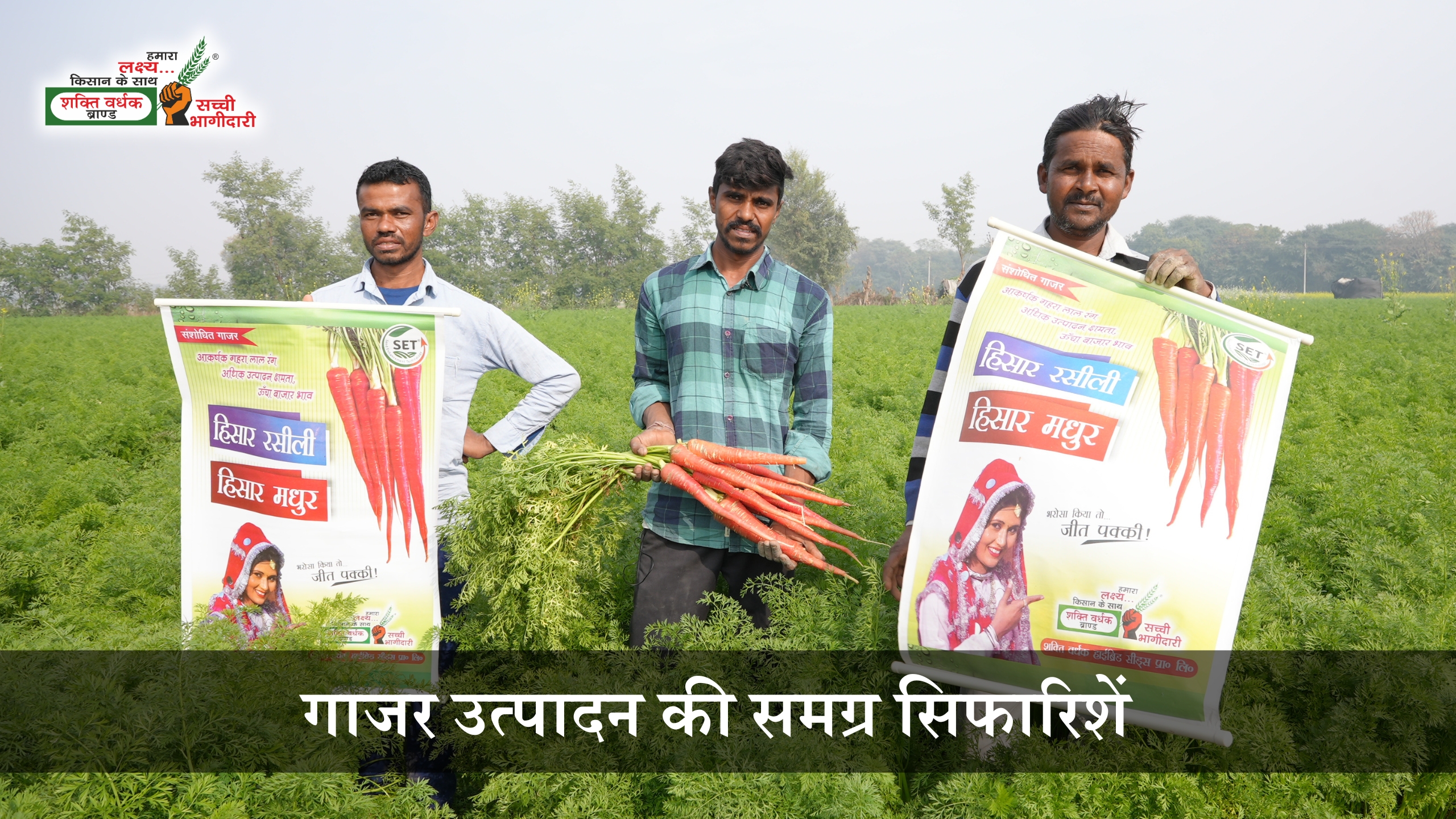 गाजर उत्पादन की समग्र सिफारिशें
