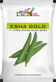 Esha Gold, Best Sponge Gourd Seeds,  Thumbnail Image