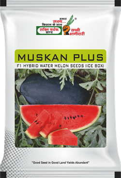 Muskan Plus