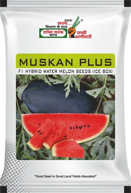 Muskan Plus