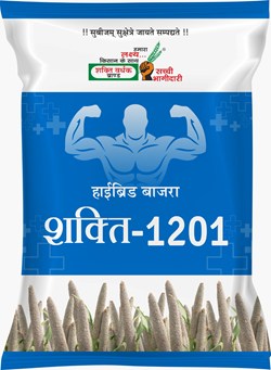 Shakti-1201