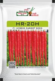 HR-20H, Best Carrot Seeds,  Thumbnail Image
