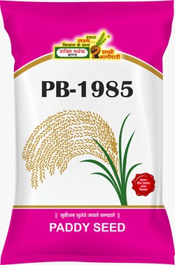 PB-1985