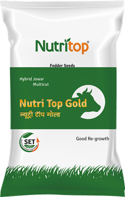 Nutri Top Gold