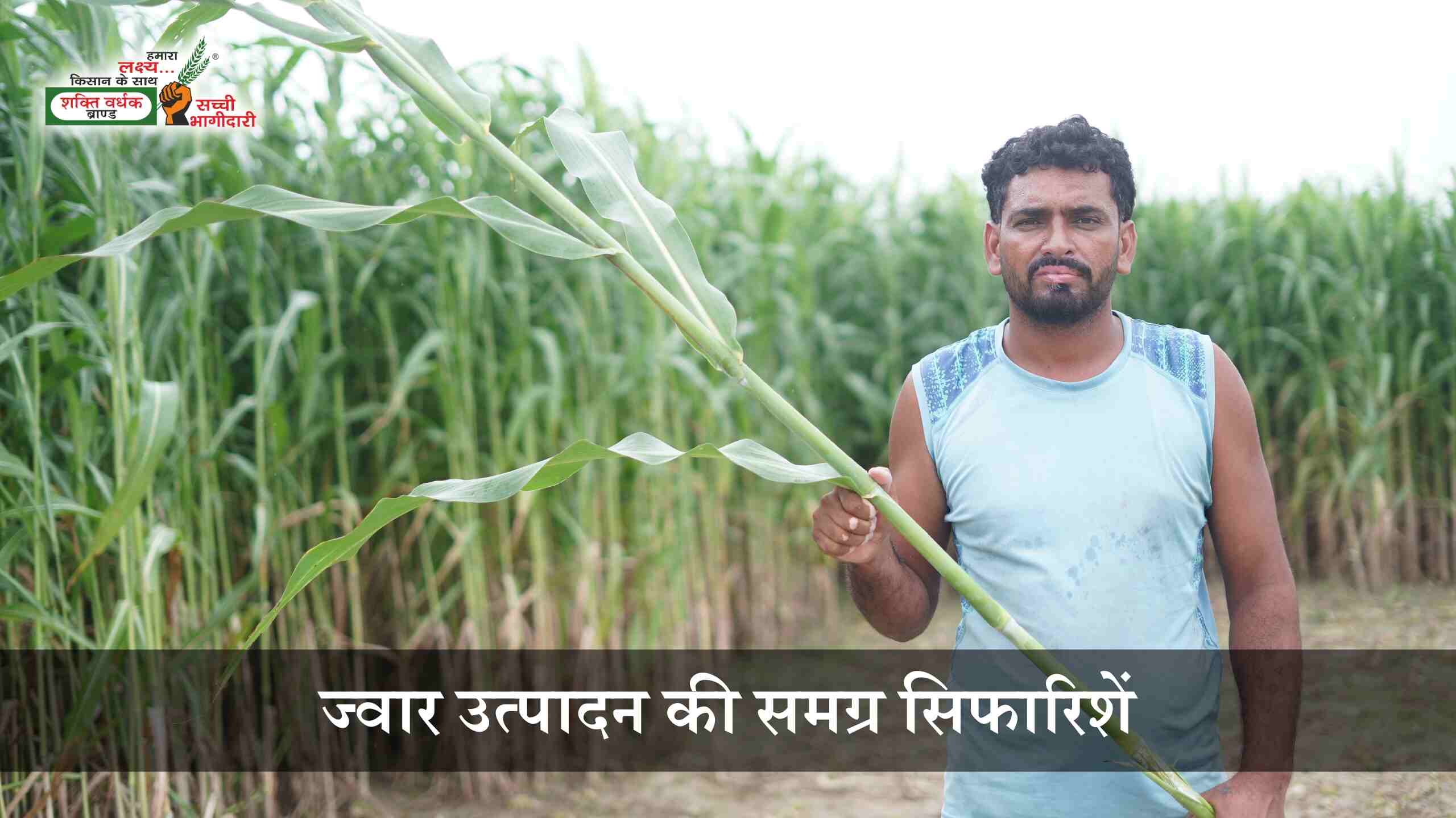 Package of Practice for Jowar (Sorghum) cultivation
