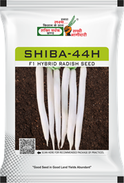 Shiba-44H, Best Radish Seeds,  Thumbnail Image