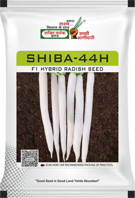 Shiba-44H