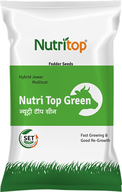 Nutri Top Green