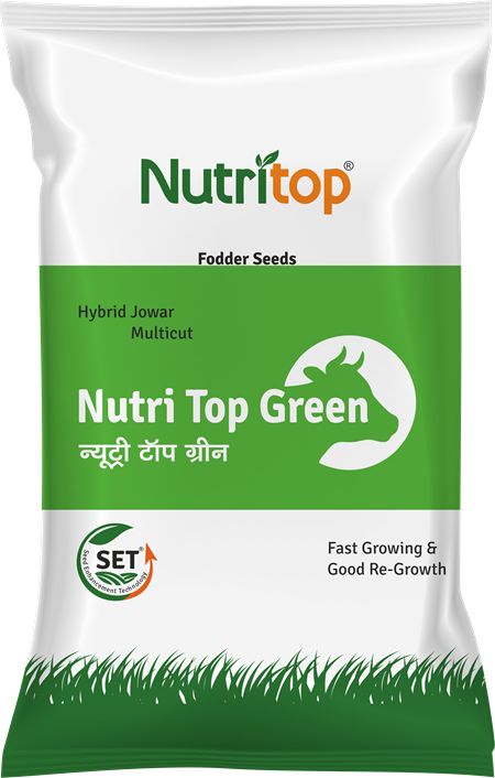 Nutri Top Green