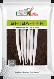 Shiba-44H , Best Radish Seeds,  Thumbnail Image