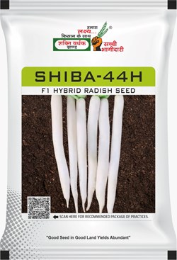 Shiba-44H 