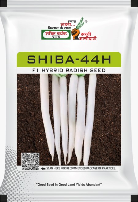 Shiba-44H 