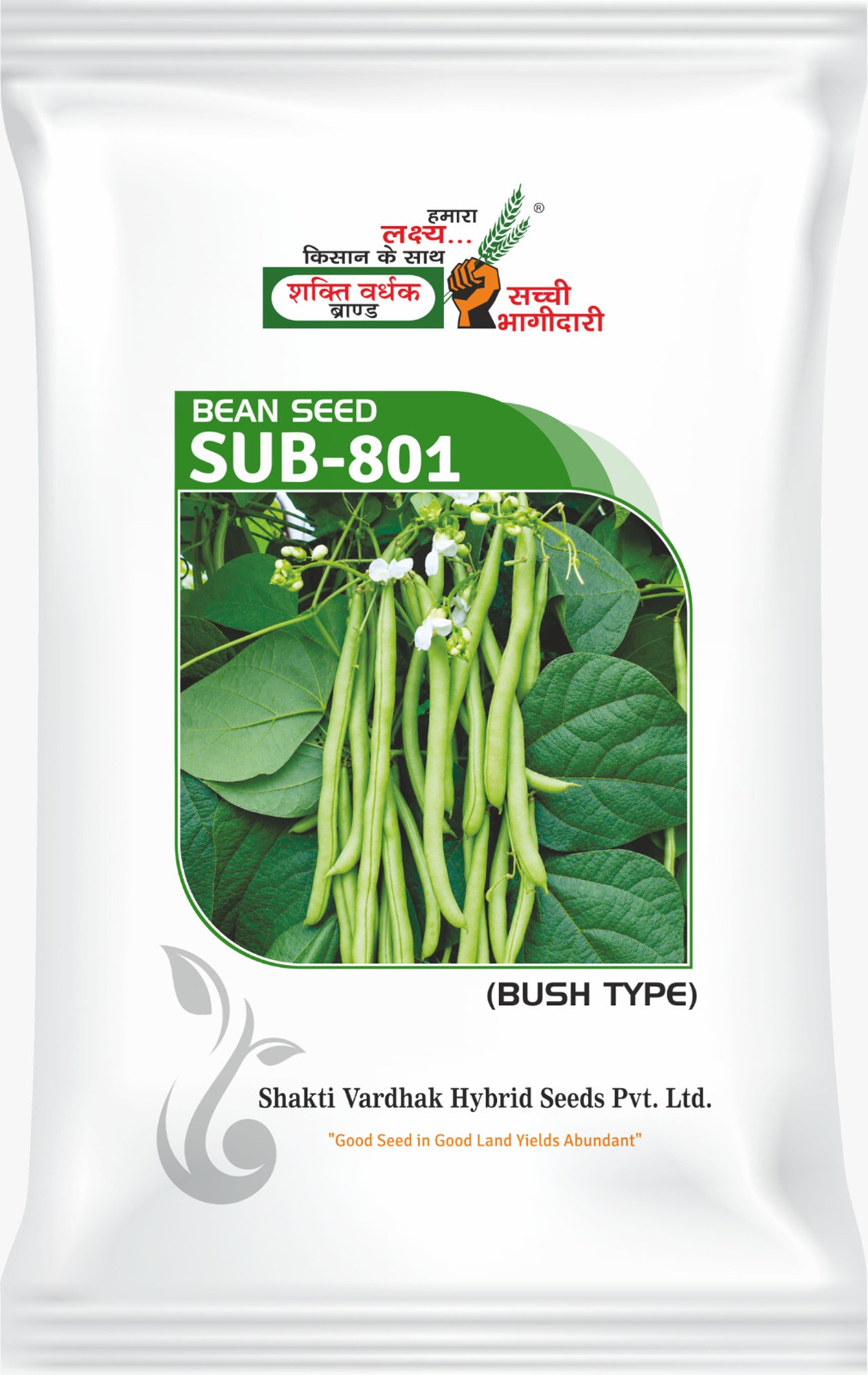 SUB-801 , Best Bush Beans Seeds, 