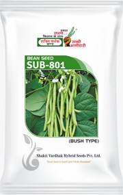 SUB-801 , Best Bush Beans Seeds,  Thumbnail Image