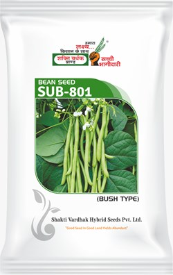 SUB-801 