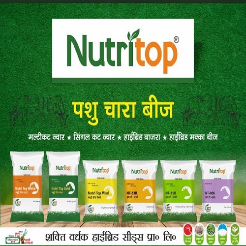 Launch of Nutritop® brand to provide quality fodder crops