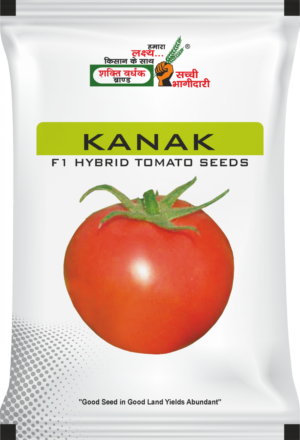 Shakti Vardhak Tomato