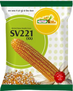 SV-221 (XX) Maize Seed by Shakti Vardhak