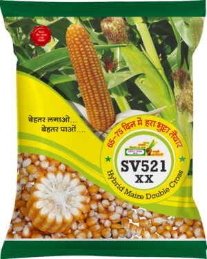 SV-521 XX Maize Seed by Shakti Vardhak