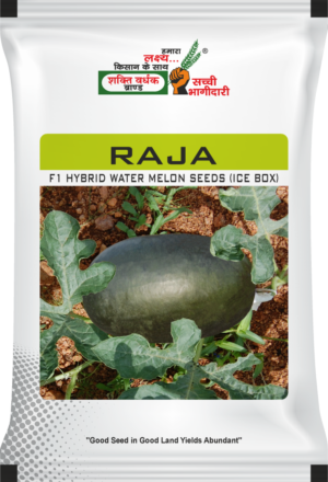 Shakti Vardhak Raja F1 Hybrid Water Melon Seeds (Ice Box)