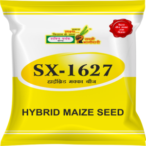 Shakti Vardhak Hybrid Maize Seed SX-1627