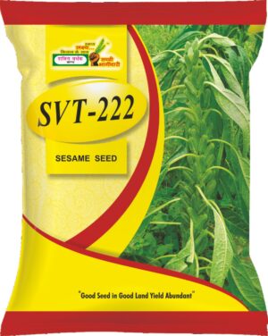 SVT-222 White Til Seeds by Shakti Vardhak