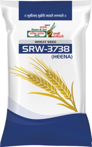 SRW-3738 (Heena) Wheat Seed