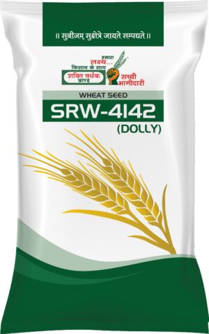 SRW-4142 (Dolly) Wheat Seed by Shakti Vardhak