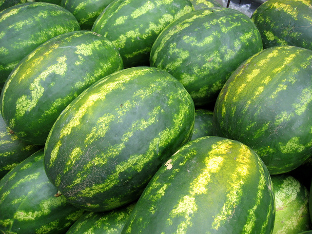 Hybrid Watermelon (Ice-Box)