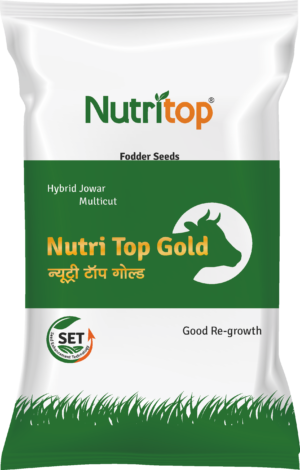 Nutritop Gold Hybrid Jowar