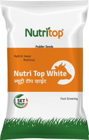 Shakti Vardhak Nutri Top White Fodder Sheeds