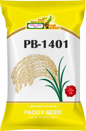 Shakti Vardhak Paddy Seeds PB-1401