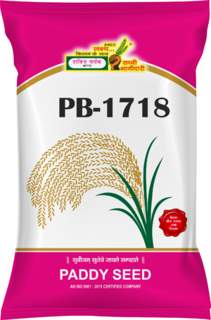 Shakti Vardhak Paddy Seeds PB-1718