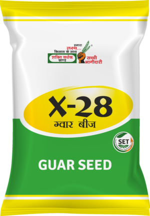 Improve Guar Quality with Shakti Vardhak X-28 Guar Seeds
