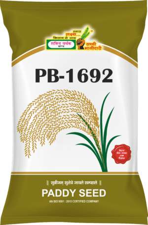 Harvested Paddy by Shakti Vardhak